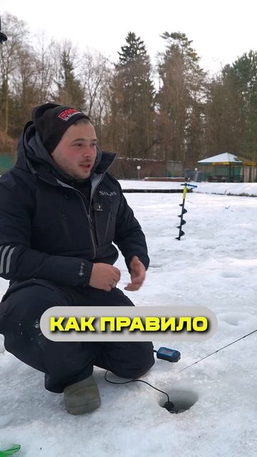 3 ГЛАВНЫХ правила зимней рыбалки #рыбалка #зимняярыбал