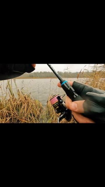 Ультралайт как всегда дарит мега эмоции 👌🐟#рыбалка # смотреть онлайн