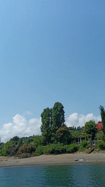 Сегодня будет рыбалка🐠🐟🐡🐬🐋🐳🦈 смотреть онлайн