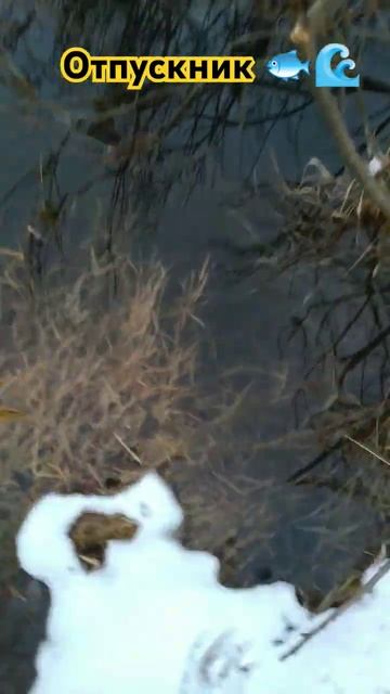 РЫБАЛКА на СПИННИНГ 🌀🏞️ природа 🏡🌀 отдых 🌀📽️ л? смотреть онлайн