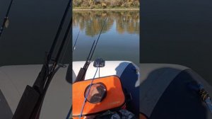 рыбалка на Беляевских карьерах