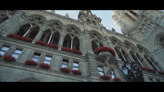 Рекламное видео для бренда Malekas Mood смотреть онлайн