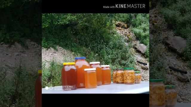 Мед смотреть онлайн