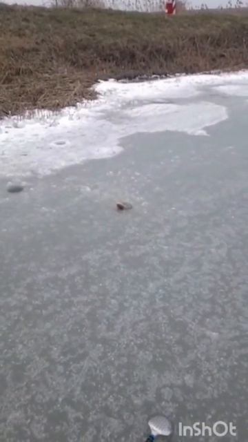 зимняя рыбалка!!!#fishing #рыбалка # ставрополь край... смотреть онлайн