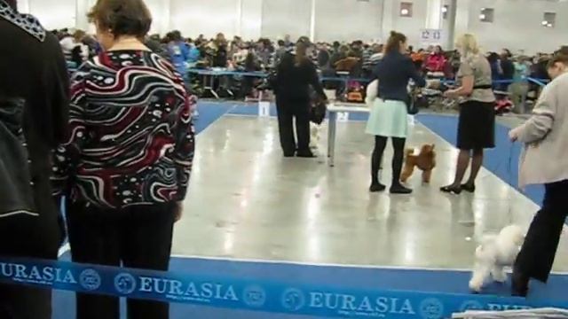 Евразия 2014, тренировка