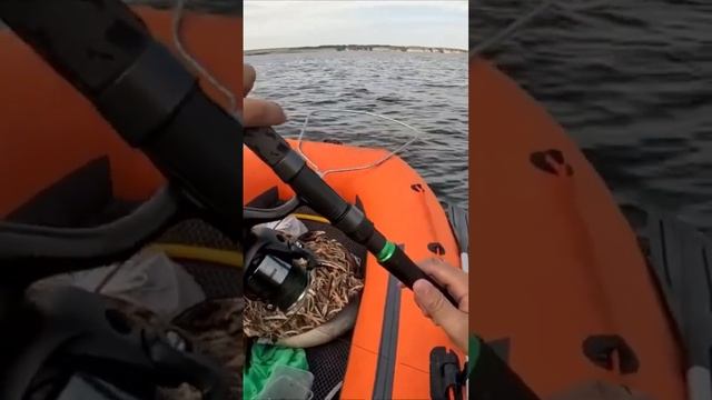 Лучшая рыбалка на сома, куча подъемов 2024 смотреть онлайн