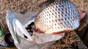 Огромная плотва на удочку. Щука как бревно. Рыбалка