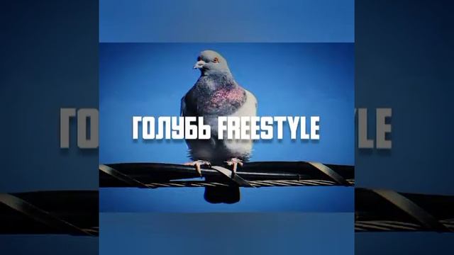 МС КУЗЯ - Голубь FREESTYLE 2021 (prod. by Luntik Beats) смотреть онлайн