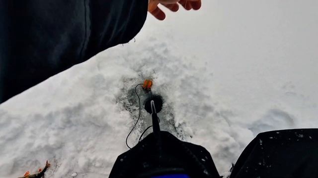 Зимняя рыбалка в январе,по эхолоту рыбы много,но пойма смотреть онлайн