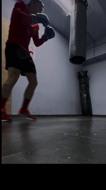 Дисциплина и система! #gymmotivation #жиза #мотивациянауспех смотреть онлайн