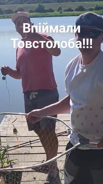 Рибалка на Товстолобів! Скоро повне відео! #fishing #карас? смотреть онлайн