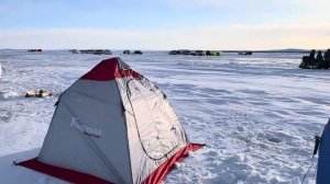 Джаорэ 2025. Рыбалка на зубаря и первый палаточный опыт ?