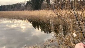 Рыбалка на поплапоппер ранней весной. Я не знал что бы?