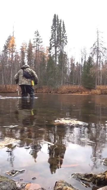 рыбалка осенью в тайге #рыбалка