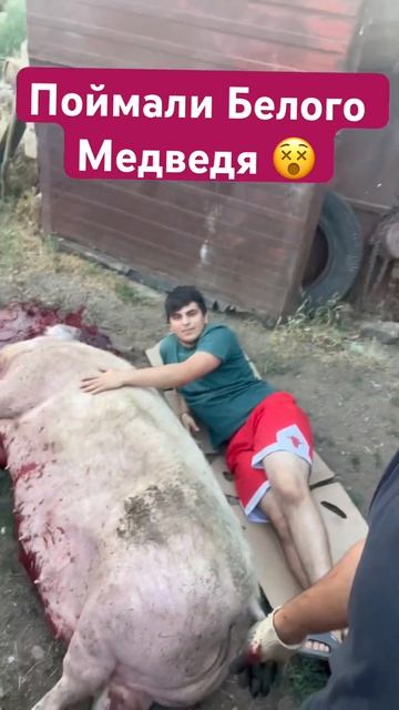 #юмор #music #automobile #рыбалка #прикол #тикток #fishing