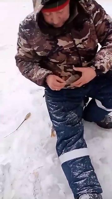 21 декабря 2023 г.Обалденная зимняя рыбалка.Окуни клюют о смотреть онлайн