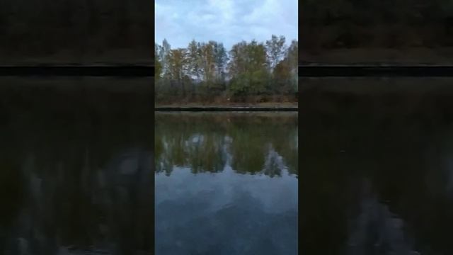 Осенний рассвет Долгопрудного #рассвет #долгопрудный смотреть онлайн