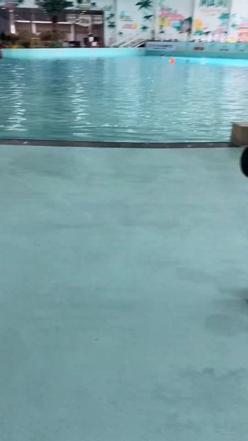 День рождение в аквапарке смотреть онлайн