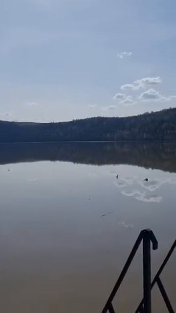 Весна на павловском водохранилище. Природа оживает смотреть онлайн