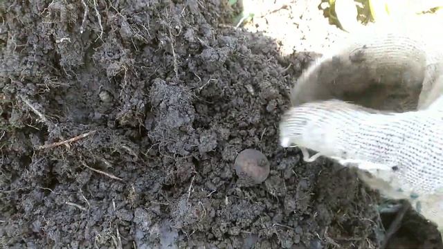 Закрытие весеннего сезона по полям! смотреть онлайн