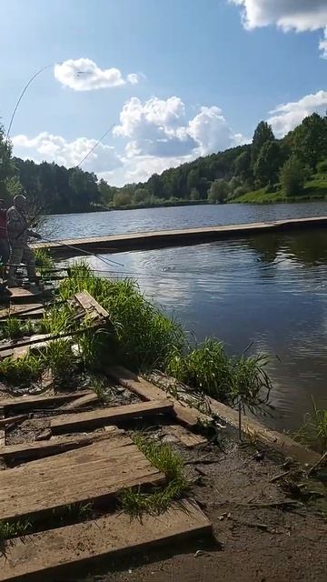 Рыбалка в Красногорске 🦈
