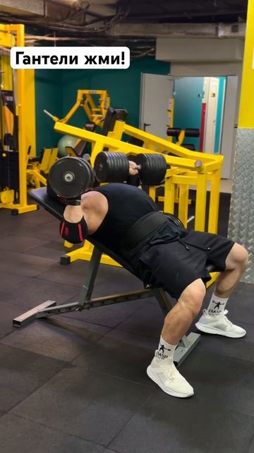 Гантели жми! Грудь качай! смотреть онлайн