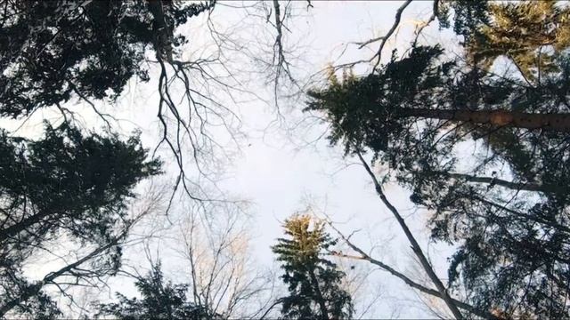 Верес - бренд российской глубинки