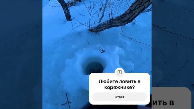 Хитрый судак в коряжнике #fishing #рыбалка #рыбалка #зимня? смотреть онлайн