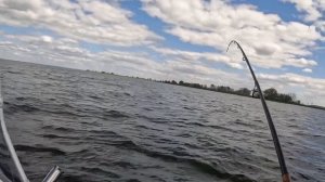 Рыбалка на Волгоградском Водохранилище