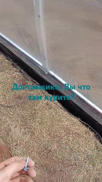 приколы жизни#теплицы#приколы #дачи#greenhouses#dachas#jokes смотреть онлайн