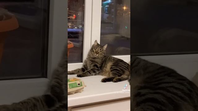 Не грусти, моя мармеладка смотреть онлайн