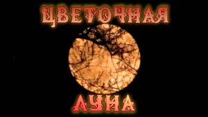 Цветочная Луна в майское полнолуние.
12.05.2025г.