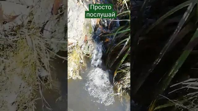 Журчание ручья, звуки природы смотреть онлайн