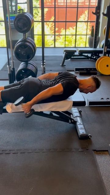 Разгибание предплечья лежа на скамье. #упражнение #офп смотреть онлайн