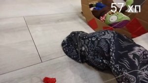 растения против зомби. часть 10. лунная походка.