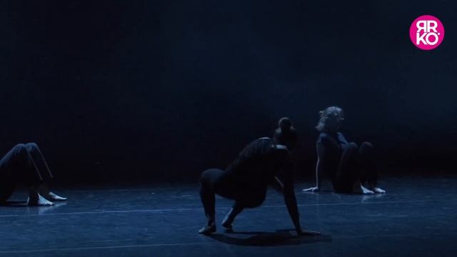 Animal Flow взрослая группа педагог Анастасия Котова смотреть онлайн