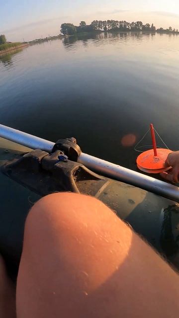 БЕЛЫЙ АМУР на КРУЖОК, оснащенный "СОСКОЙ" #рыбалка #рыб? смотреть онлайн