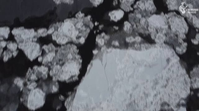 ЭТО ПИ#%Ц! Я НЕ ДУМАЛ, ЧТО ТАКИЕ БЫВАЮТ. ПОЛОСАТЫЕ ПРОГЛ? смотреть онлайн