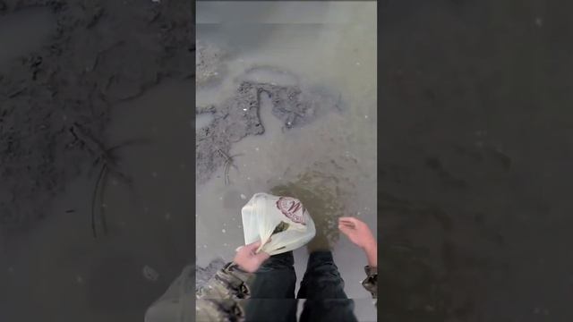Спас много рыбы #рыбалка #сазан #рыбалканаозере смотреть онлайн