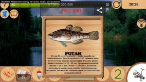 реальная рыбалка ценный трофей ротана на 600г #рыбалка