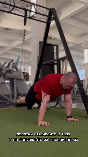 Отжимания сфинкса (sphinx’s push ups) #алексейнемцов #трениро смотреть онлайн