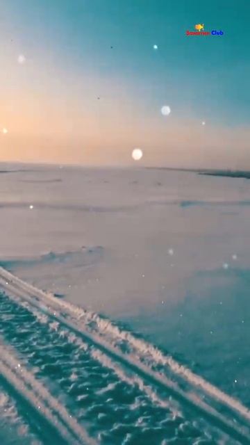 Загадки зимней рыбалки Вода на льду #shorts