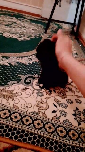 У тебя есть чёрная кошка🖤🖤🖤🖤🖤🖤 смотреть онлайн