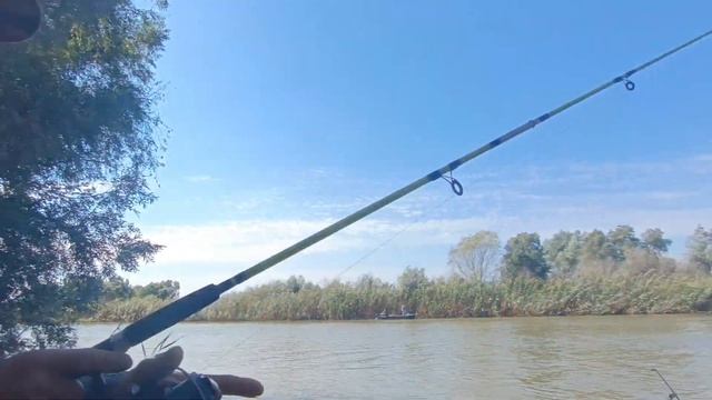 Рыбалка в Астраханской области. сентябрь 2024 года смотреть онлайн