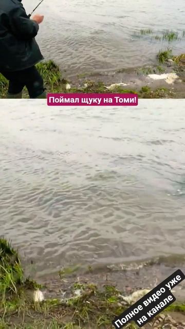 Рыбалка Кемерово. Поймал щуку на Томи