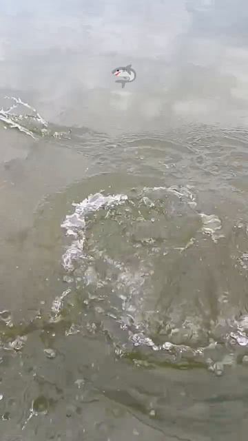 Рыбалка в Астрахани на хищника с лодки 🛥️🦈 смотреть онлайн