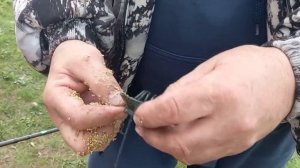 Рыбалка на шайбы для карпа , Озеро нектар.