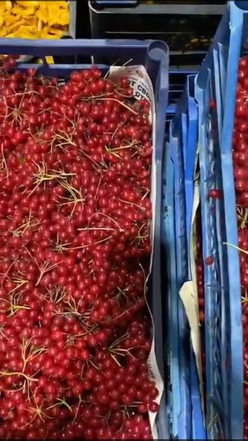 ЯГОДЫ 🍓 ОТ BEST FRESH MARCHENKO РОСТОВ ВОРОНЕЖ ЛИПЕЦК БЕЛГОРОД смотреть онлайн