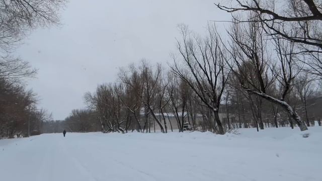 Раз родители переписали всё имущество на брата, я пере смотреть онлайн
