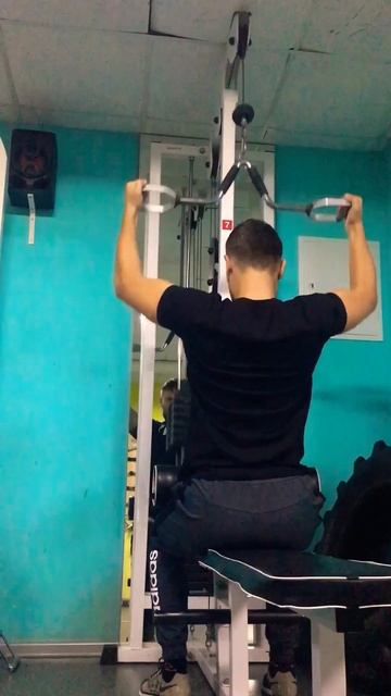 Тренировка широчайших. Тренировка спины смотреть онлайн